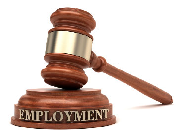 Employment-Law-Taunton-MA